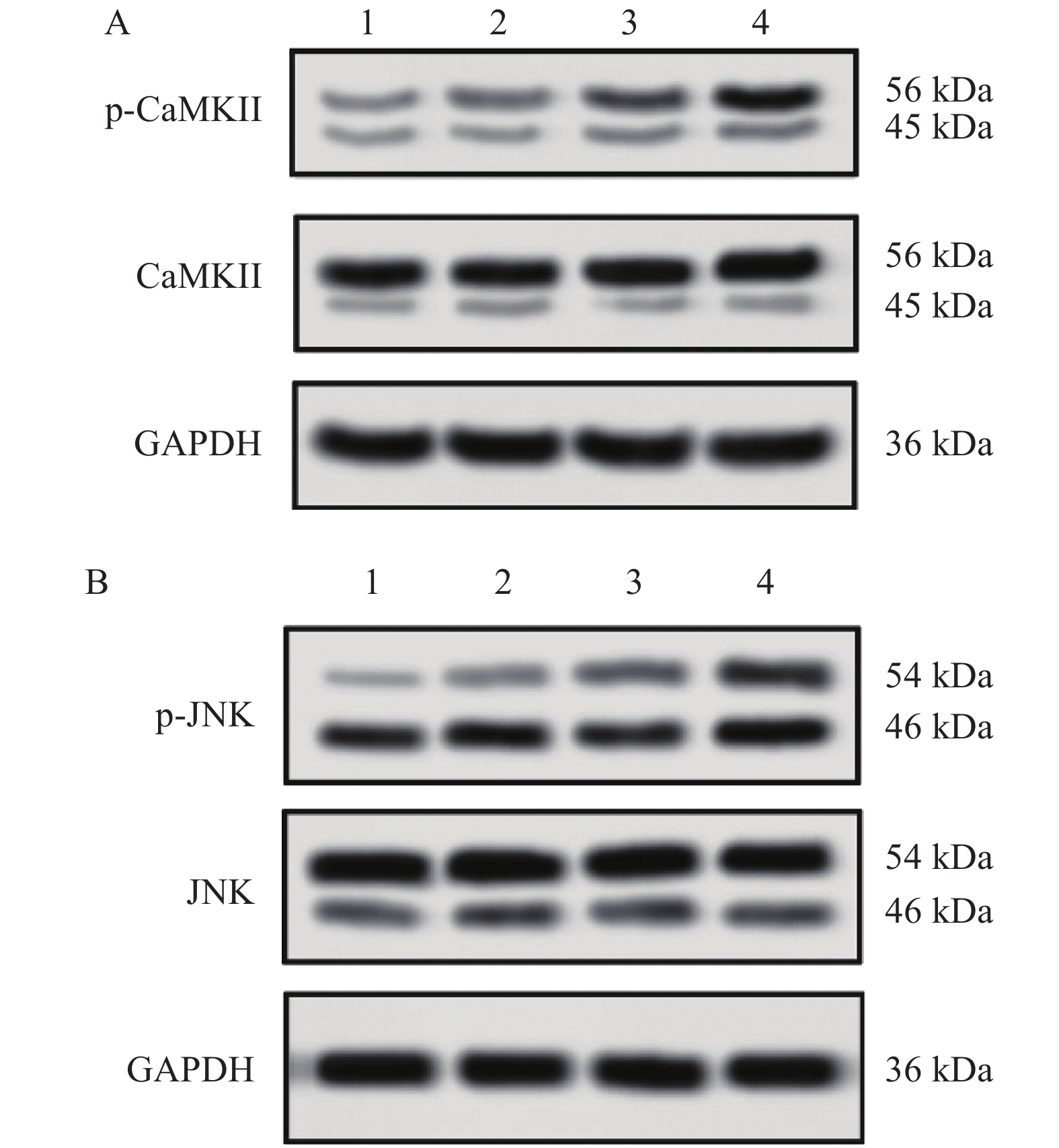 好博体育-)靿b2k呴&秈 